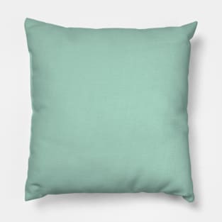 Mid Century Modern Pastel Teal Solid Pillow