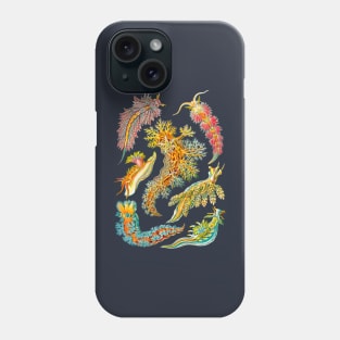 Ernst Haeckel Nudibranch Sea Slugs Phone Case