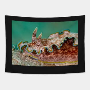 Colourful nudibranch with green background Tapestry