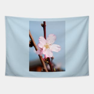 Almond Blossom Tapestry