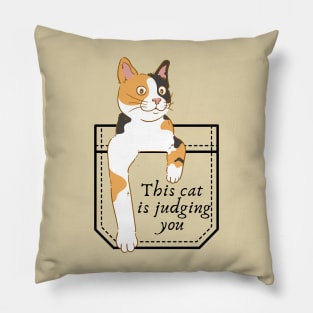 This cat is judging you Pillow