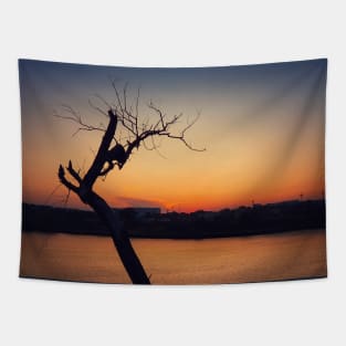 dry tree over sunset Tapestry