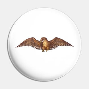 Eagle, Bird, Gold Wings Pin