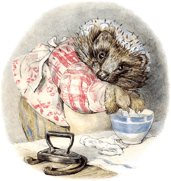 The Tale of Mrs. Tiggy-Winkle -  Beatrix Potter Kids T-Shirt by forgottenbeauty