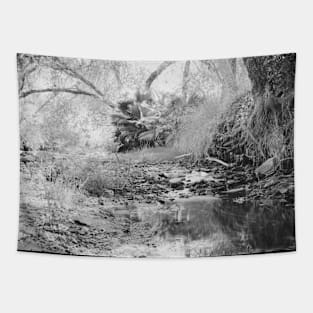 Photo of Peaceful Jungle Stream in California V3 Tapestry