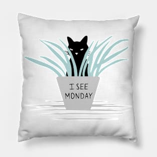 Urgent Cat News: I See Monday Pillow