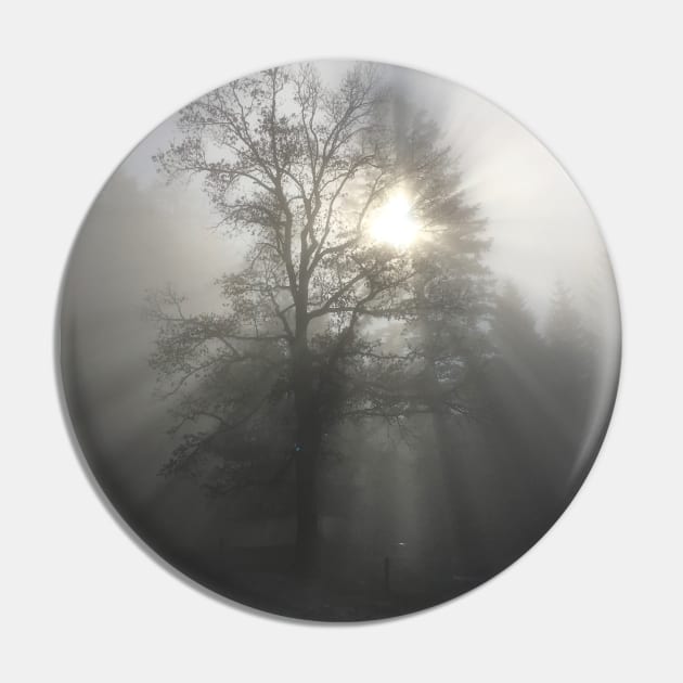 Mystical forest mood / Swiss Artwork Photography Pin by RaphaelWolf