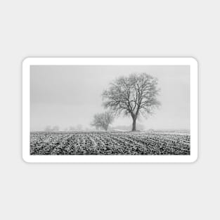 Winter Fields Magnet