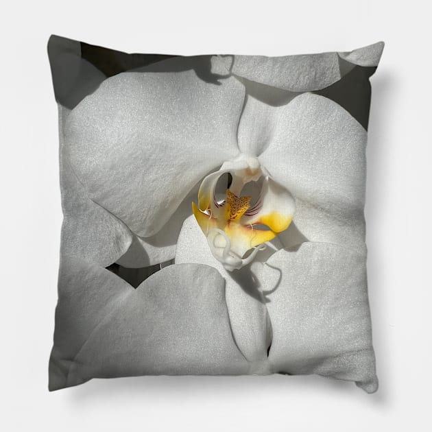 White Orchid Yellow Center Pillow by KarenZukArt