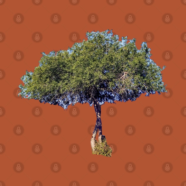 A Tree in Africa by ellenhenryart