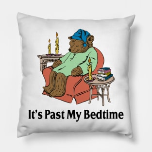 It's Past My Bedtime Bear Taking a Nap Next to Books Pillow