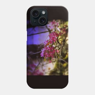 red Malus 'Radiant'  crab apple blossoms #1 Phone Case