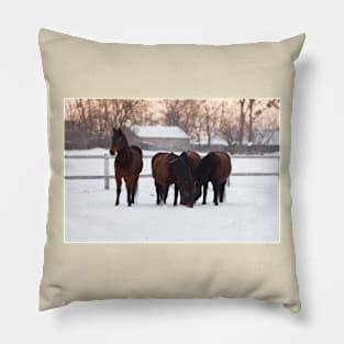 Four horses grazing on snowy pasture Pillow