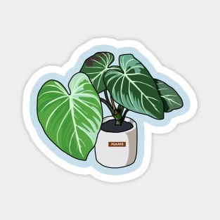 Philodendron Plants Magnet