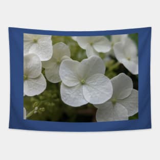 Delicate White Tree Flowers Tapestry