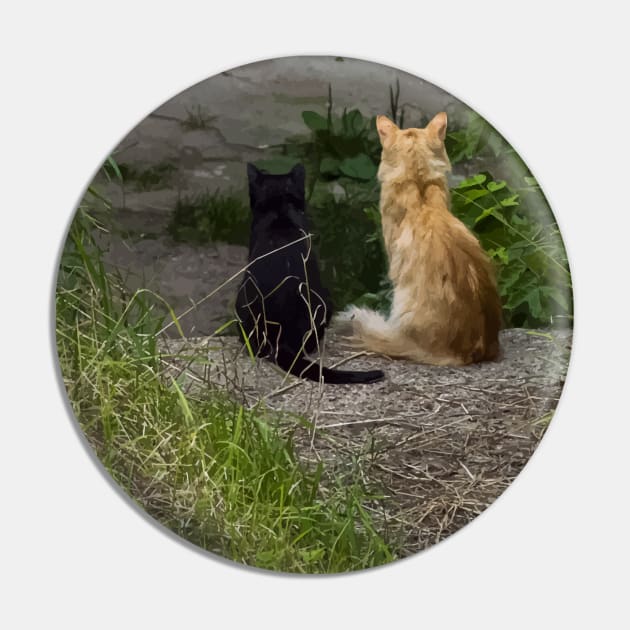 Ginger and black cats sit side by side in the grass and look from the stairs. View from the back Pin by EvgeniiV