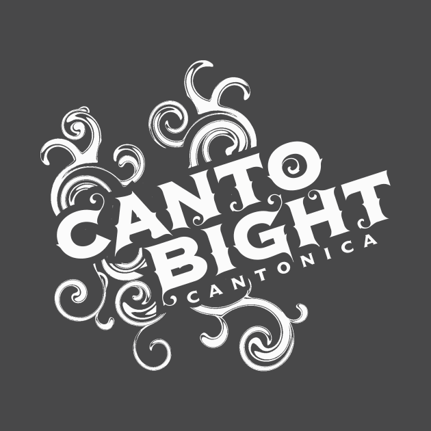 Canto Bight by MindsparkCreative