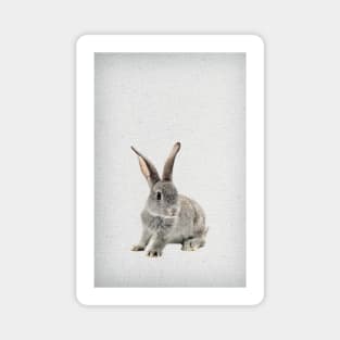 Rabbit 26 Magnet