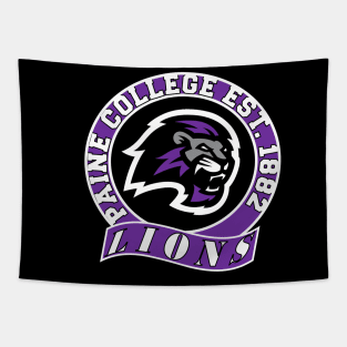 Paine 1882 College Apparel Tapestry