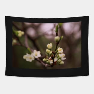 plum tree in full bloom Tapestry