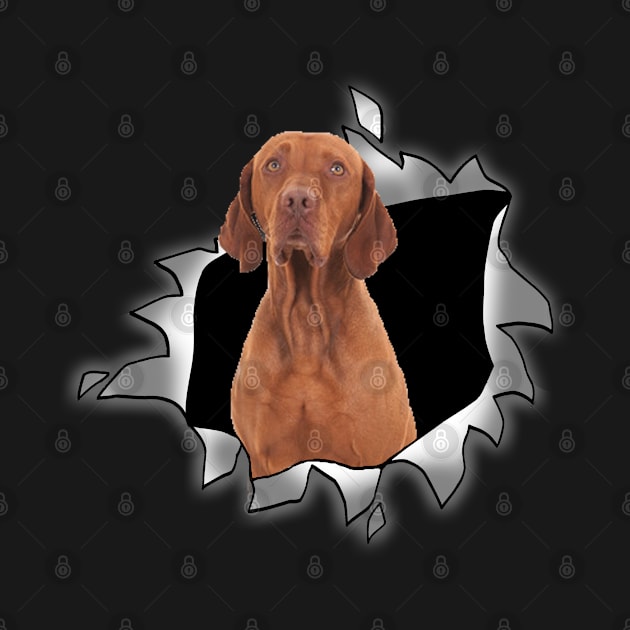 Funny Redbone Coonhound Shirt - Redbone Coonhound Dog Owner - Gift For Redbone Coonhound Lover by RRADesign