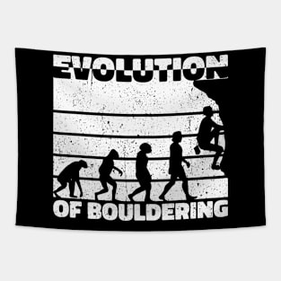 Evolution of Bouldering: Climbing to New Heights Tapestry