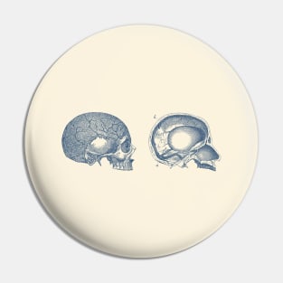 Human Skull - Classic Anatomy Pin