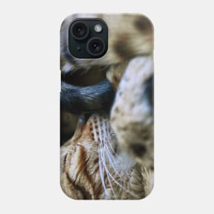 Katze /  Swiss Artwork Photography Phone Case