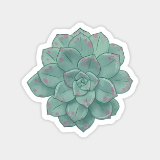 Large Pastel Succulent Illustration Magnet