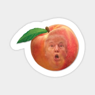 Impeach Magnet