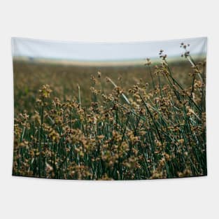 Prairie Scene in the Foothills. Tapestry