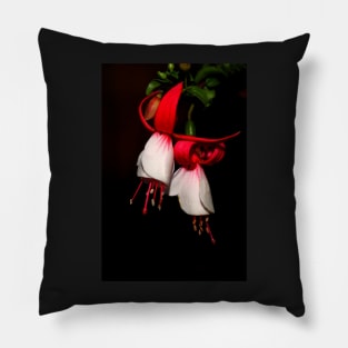 Red & White Fuchsia Pillow