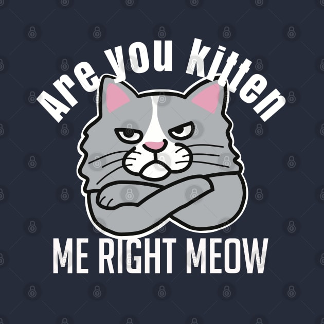 Are You Kitten Me Right Meow by Punful