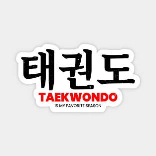 taekwondo Magnet