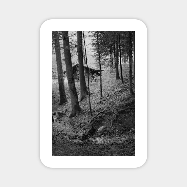 A Cabin in the Swiss Woods. Vallorbe, Jura, Switzerland Magnet by IgorPozdnyakov