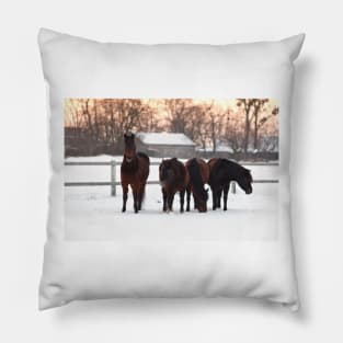 Four horses on winter paddock Pillow