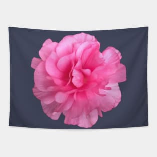 Pink Ranunculus Close-up Pic Tapestry