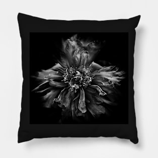 Backyard Flowers In Black And White 49 Pillow