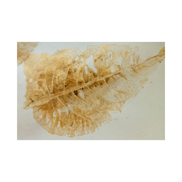 Skeleton Leaf Print in Gold by Alchemia