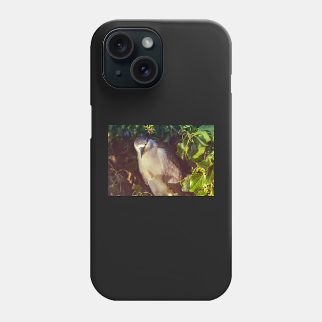 Straight Look Phone Case by jvnimages