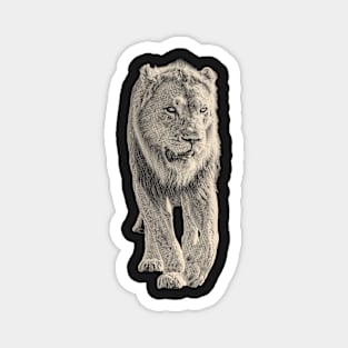 Lion Picture in Vintage Sepia Magnet