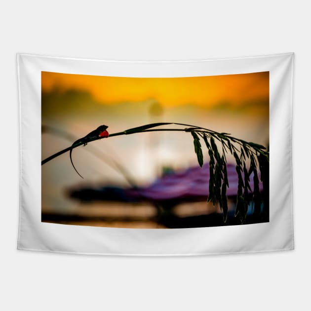 Sunrise Silhouette Tapestry by cbernstein