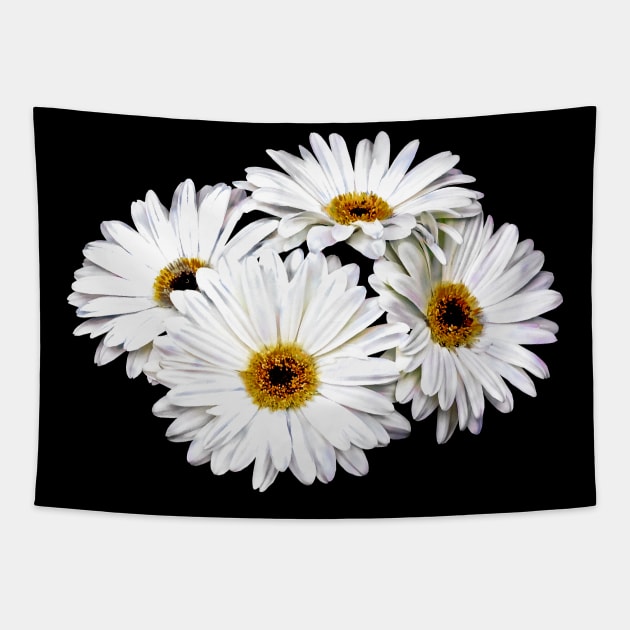 Daisies - Four White Daisies Tapestry by SusanSavad