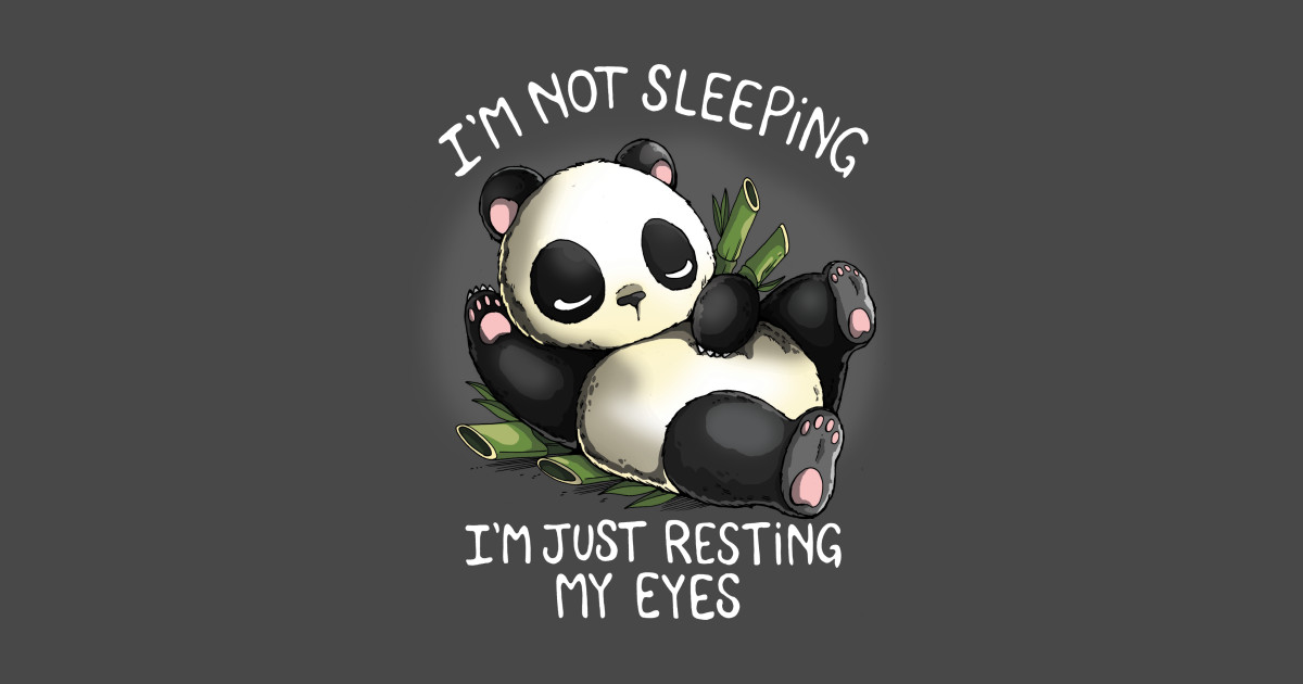sleeping panda t shirt