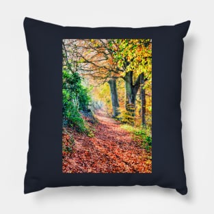 Autumn Leaves Walk Pillow