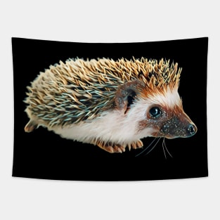 Hedgehog - Woodland Themed Kids Room, Funny Gifts For Forester, Cute Anima Tapestry