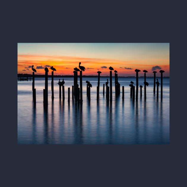 Pelican Silhouettes at Sunset by mcdonojj