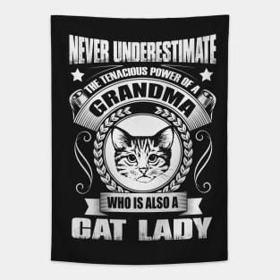 Never Underestimate A Cat Lady Grandma Tapestry