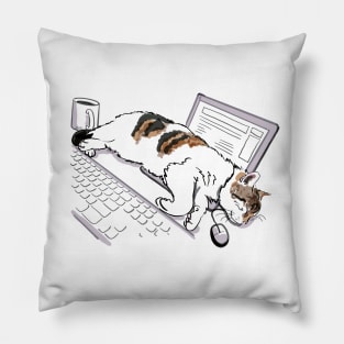 Cat sleeping on laptop Pillow