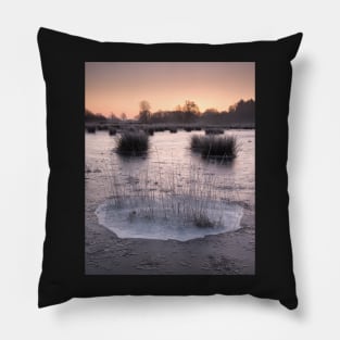 Cold Snap Pillow